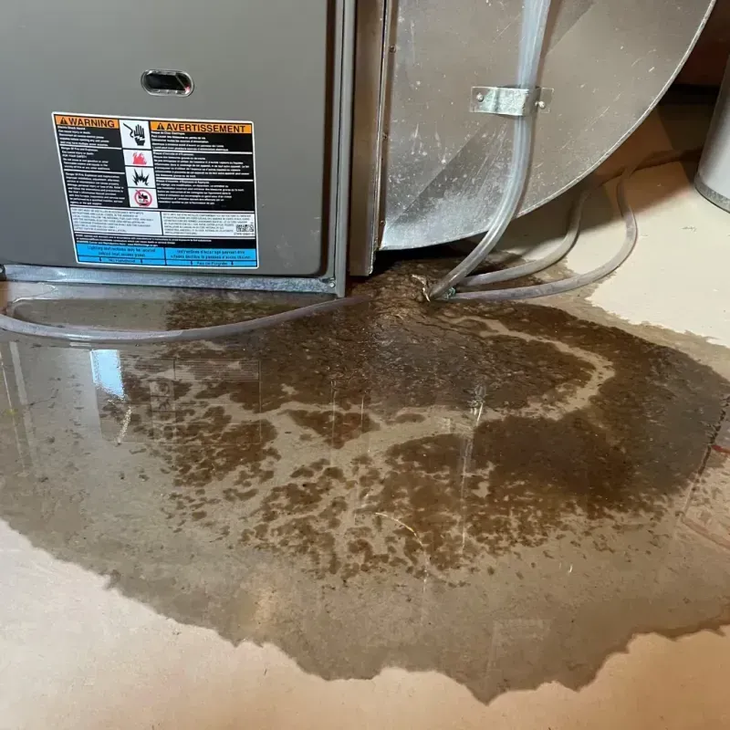 Appliance Leak Cleanup in Calaveras County, CA